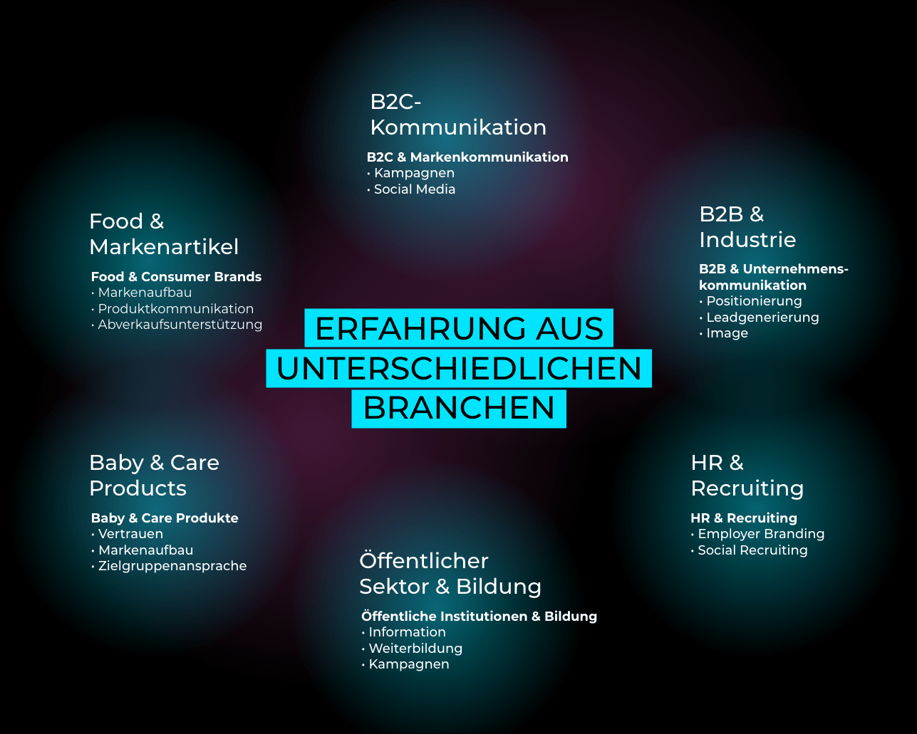 Übersicht zur Social-Media-Erfahrung der Agentur H-ZWO in Köln für B2B, B2C, Food, HR & Recruiting und öffentliche Institutionen